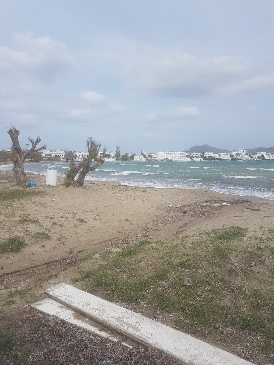 viber image 2019 03 29 16.14.20