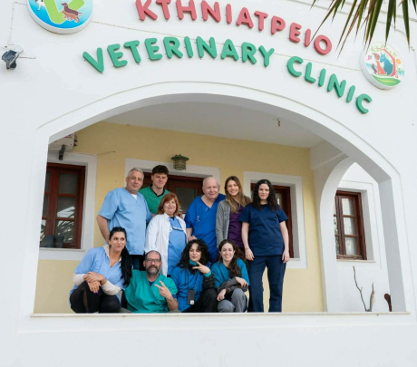 Εθελοντική δράση για τα αδέσποτα γατάκια της Σαντορίνης