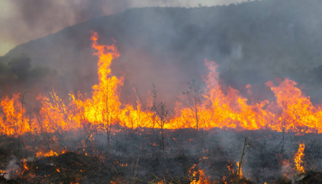 Πολύ υψηλός κίνδυνος πυρκαγιάς την Πέμπτη 30-7-2026 στην Περιφέρεια Νοτίου Αιγαίου, Π.Ε Κυκλάδων