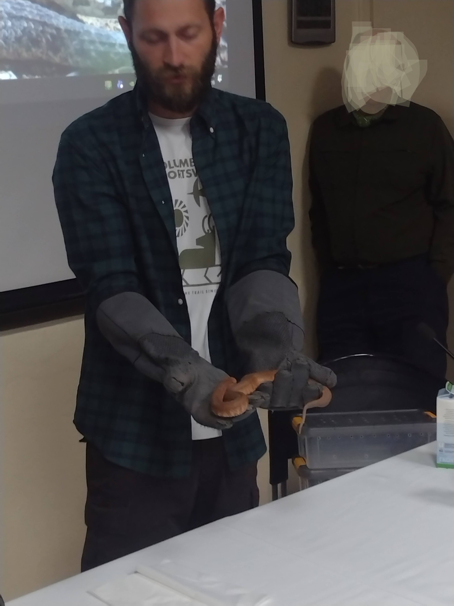 697238268_1480827786871063_2791122613203248391_n.jpg