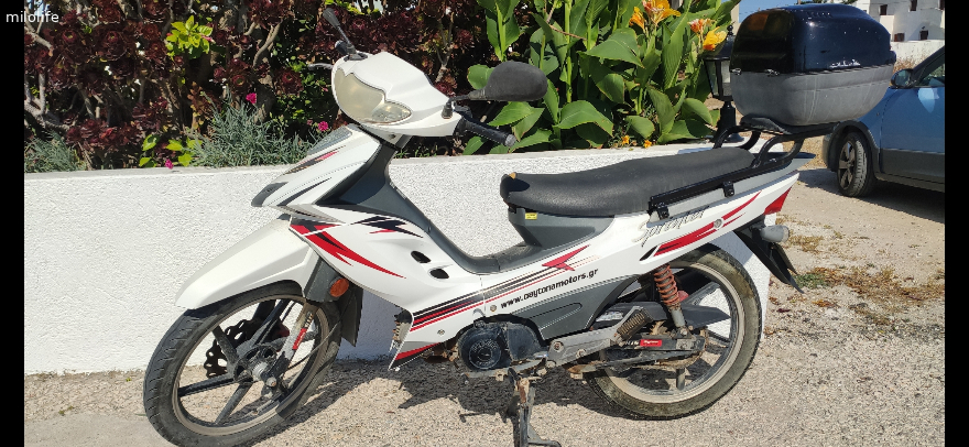 Daydona 50cc