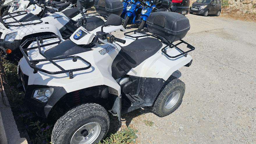 Πωλουνται γουρουνες MXU250R